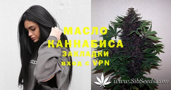 мет Алексин