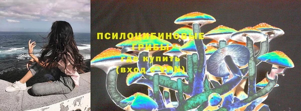 мет Алексин