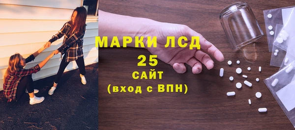 хмурый Алзамай
