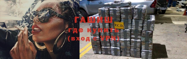 хмурый Алзамай