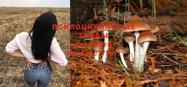 хмурый Алзамай