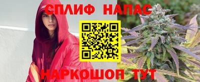 СК Гай