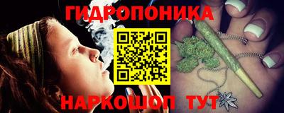 бошки Гагарин