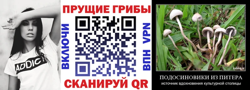 Галлюциногенные грибы MAGIC MUSHROOMS  Карачаевск 