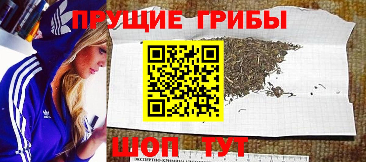 Псилоцибиновые грибы Magic Shrooms  Вход с VPN  Галлюциногенные грибы Cubensis  Карачаевск 