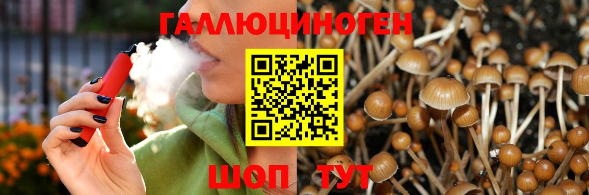 Галлюциногенные грибы мухоморы Карачаевск